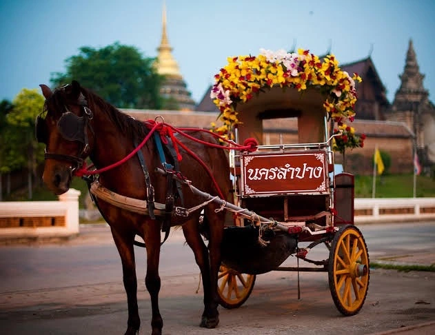รีโนเวทบ้านตึกแถวลำปาง